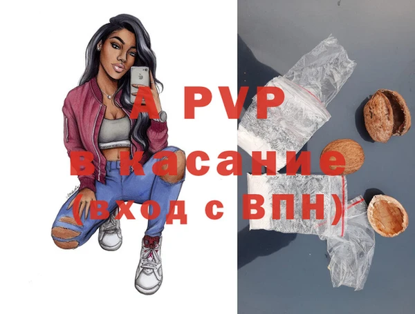 спиды Абаза